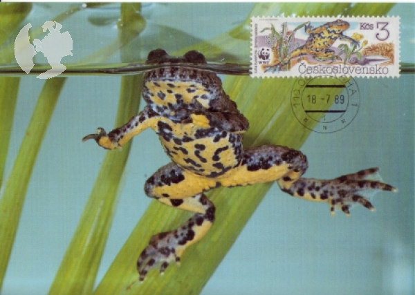 CM 2898 / 2901 - WWF ● - 1989